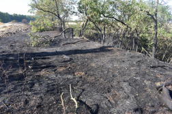 Harminc hektár égett le Kunmadarasnál