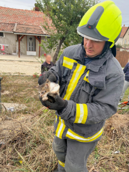 Kútból mentettek kismacskát Tiszaszentimrén