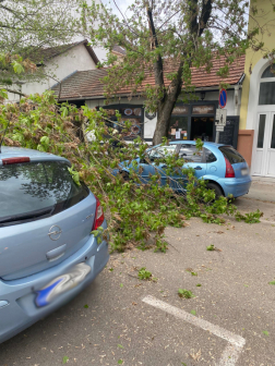 Autókra szakadt egy faág Szolnokon