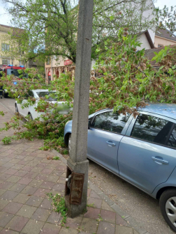 Autókra szakadt egy faág Szolnokon