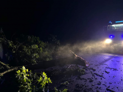 Megdolgoztatta a vihar a tűzoltókat