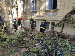 Katasztrófavédelem