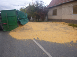 Katasztrófavédelem