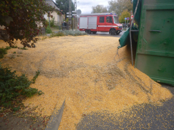 Katasztrófavédelem