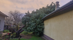 Katasztrófavédelem