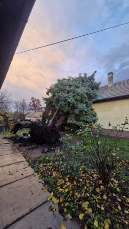 Katasztrófavédelem