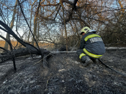 Tíz hektár égett le Fegyverneknél