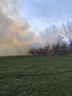 Tíz hektár égett le Fegyverneknél