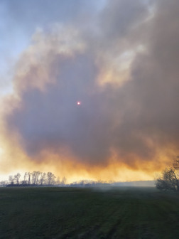 Tíz hektár égett le Fegyverneknél