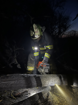 Tíz hektár égett le Fegyverneknél