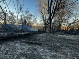 Tíz hektár égett le Fegyverneknél