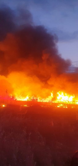 Nádas égett Egyeknél