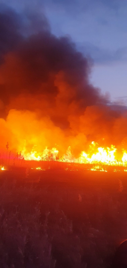 Nádas égett Egyeknél