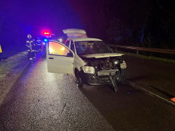 Őzet gázolt egy autó Martfűnél