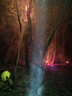 Fák és bokrok égtek Szolnoknál