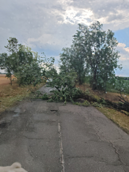 Munkát adott a vihar vármegyénk tűzoltóinak