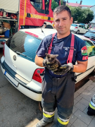 Bajbajutott kismacskát mentettek a szolnoki tűzoltók
