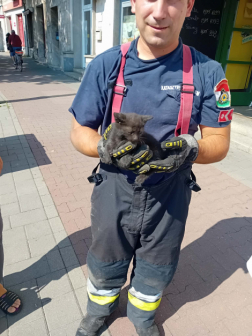 Bajbajutott kismacskát mentettek a szolnoki tűzoltók