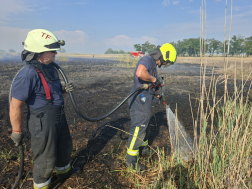 Közel száz hektár égett le Tiszafürednél