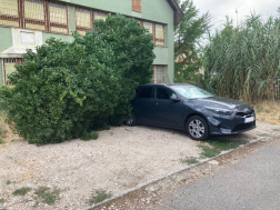 Több mint húsz beavatkozás történt a szél miatt
