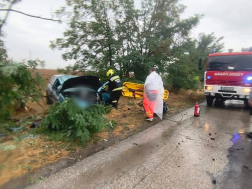 Villanyoszlopot ütött ki egy autó Tiszaföldvárnál