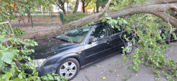 Faág szakadt két parkoló autóra Szolnokon
