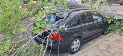 Faág szakadt két parkoló autóra Szolnokon