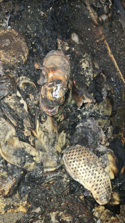 Kéménytűz miatt vált lakhatatlanná egy zagyvarékasi ház
