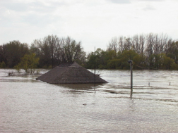 Katasztrófavédelem